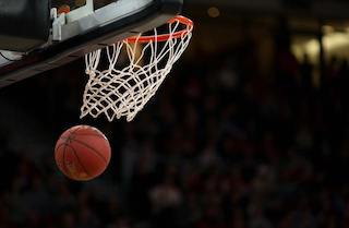 basketball though hoop small